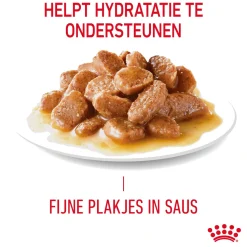 Royal Canin Hairball Care in Gravy - Kattenvoer