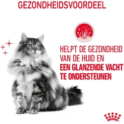 Royal Canin Hair & Skin Care - Kattenvoer