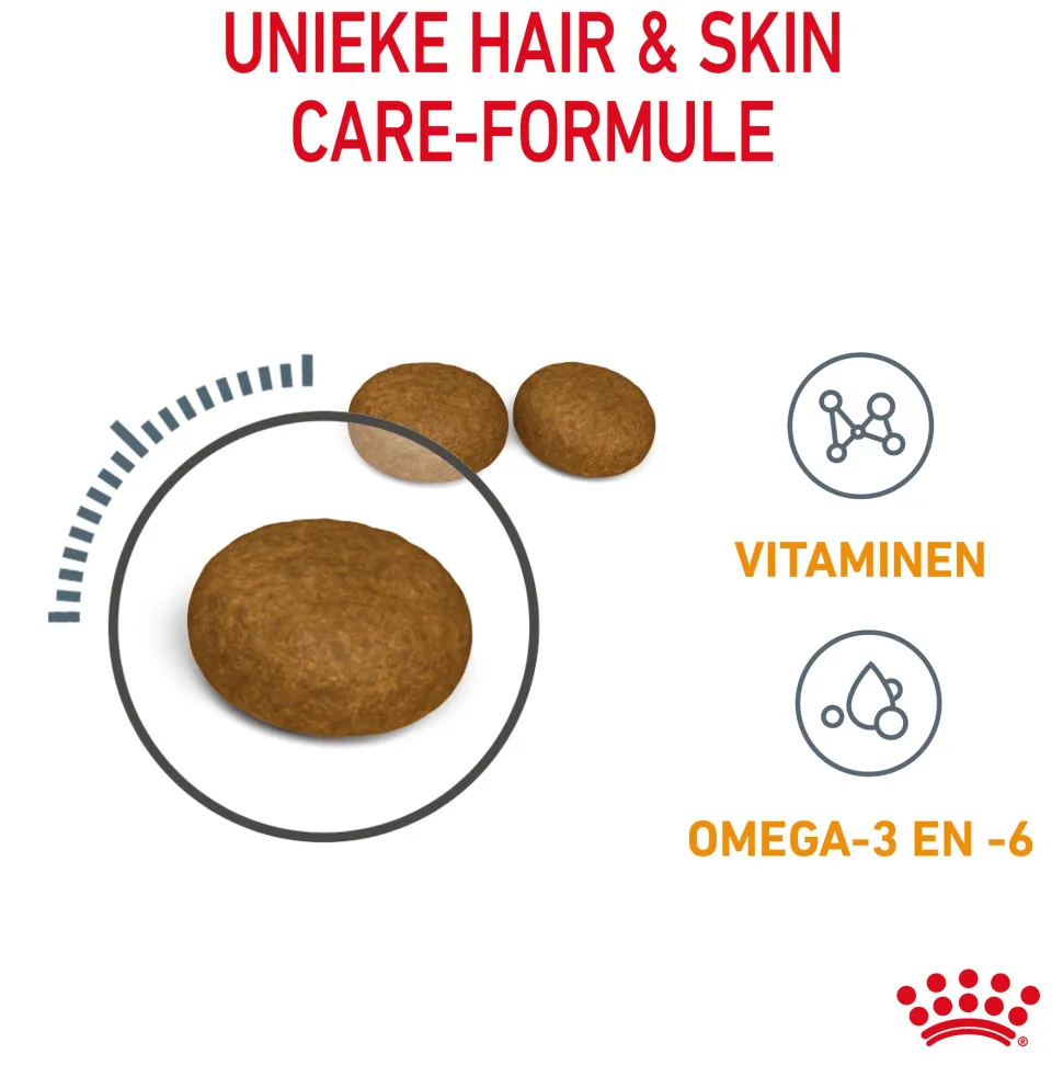 Royal Canin Hair & Skin Care - Kattenvoer