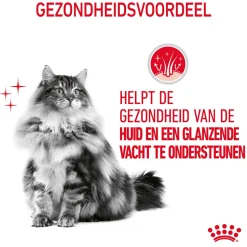 Royal Canin Hair & Skin in Jelly - Kattenvoer
