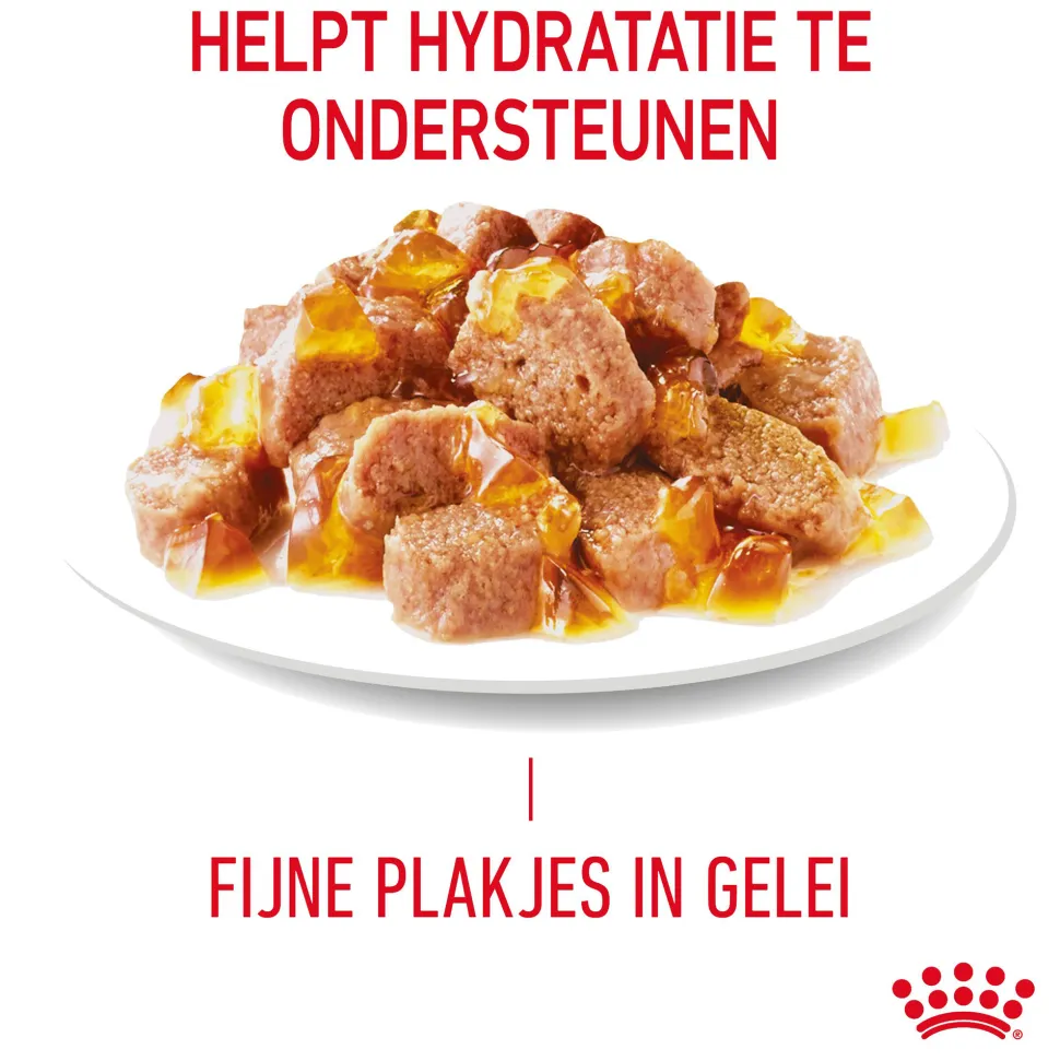 Royal Canin Hair & Skin in Jelly - Kattenvoer