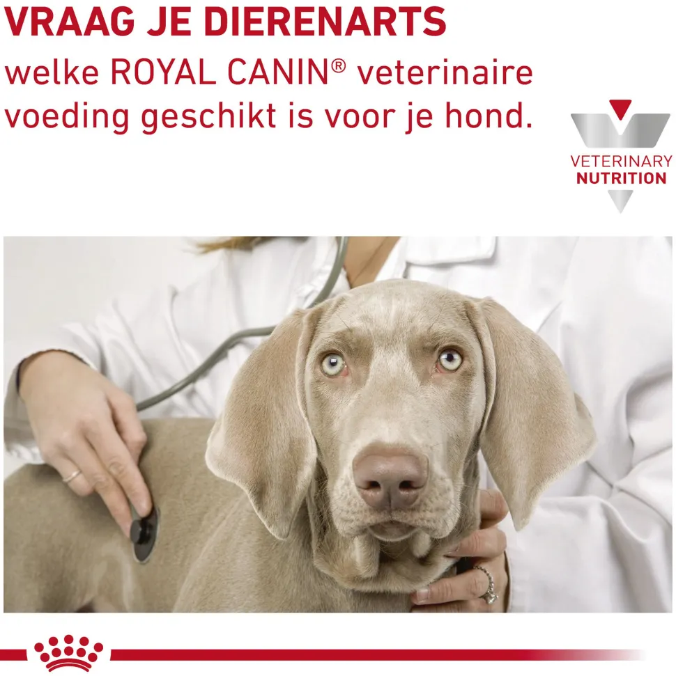 Royal Canin Hepatic Hond