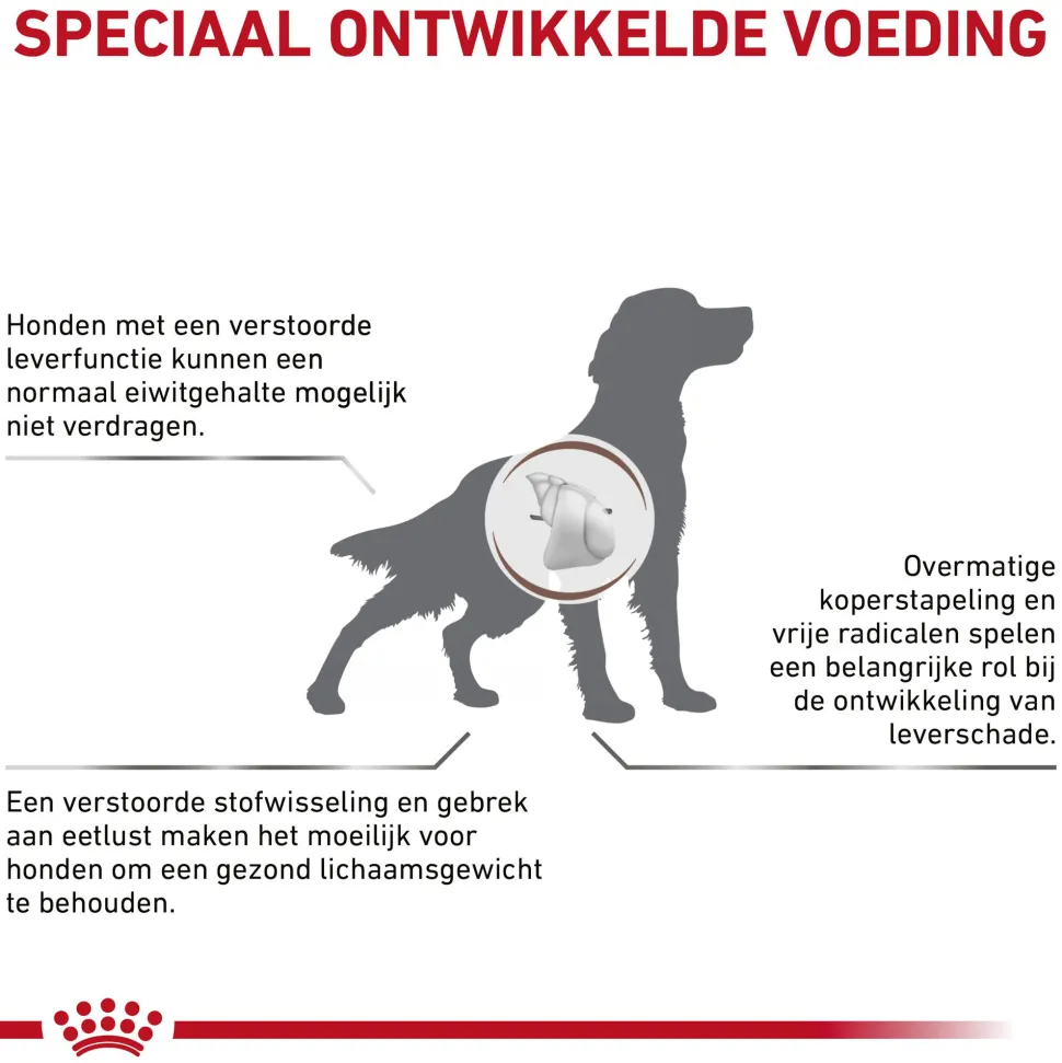 Royal Canin Hepatic Hond