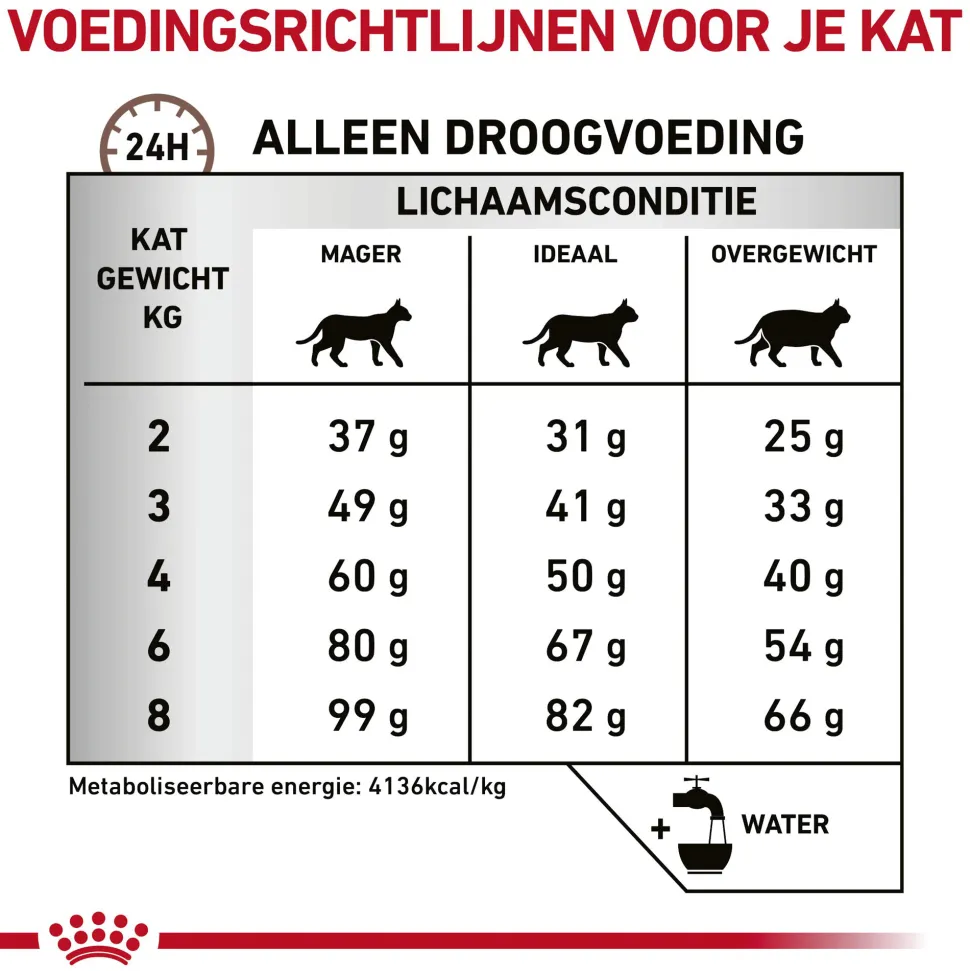 Royal Canin Hepatic Kat