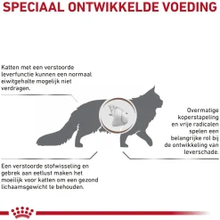 Royal Canin Hepatic Kat