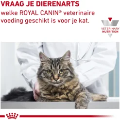 Royal Canin Hypoallergenic Kat