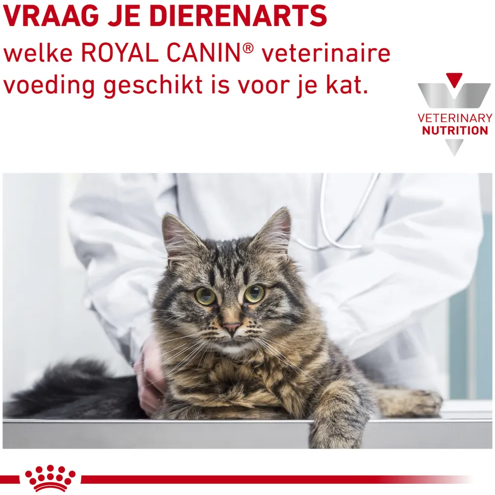 Royal Canin Hypoallergenic Kat