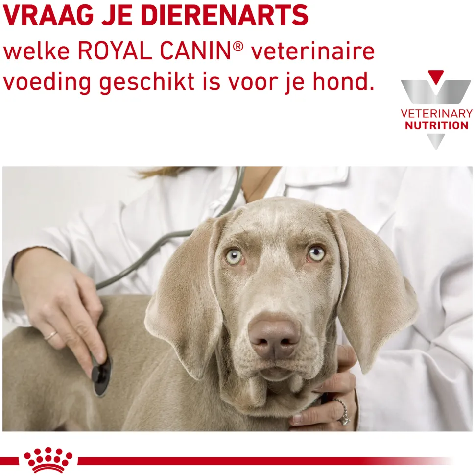 Royal Canin Hypoallergenic Puppy