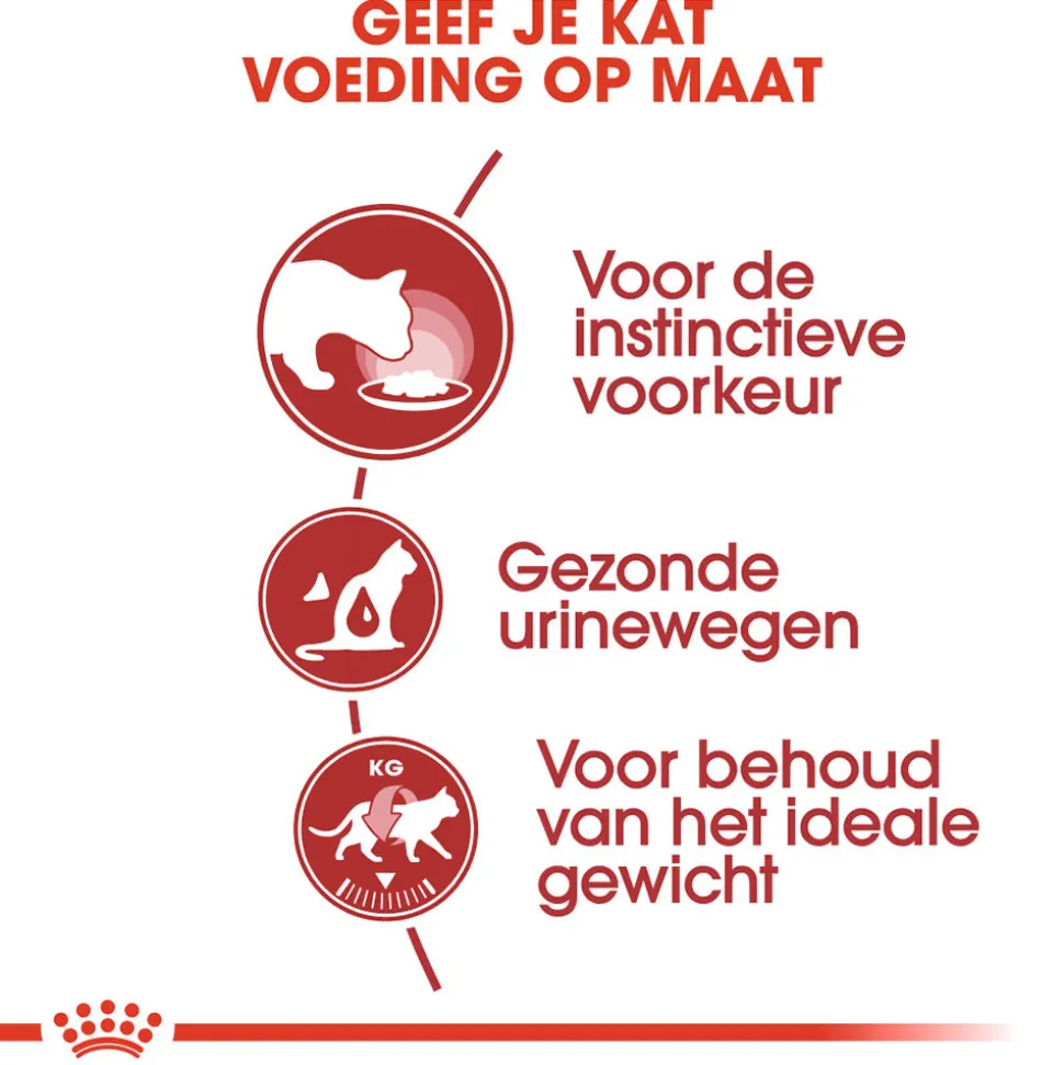 Royal Canin Instinctive in Jelly - Kattenvoer