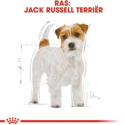 Royal Canin Jack Russell Terrier Adult - Hondenvoer