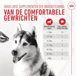 Royal Canin Joint & Ageing Supplements Chews Hond