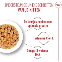 Royal Canin Kitten in Jelly - Kattenvoer