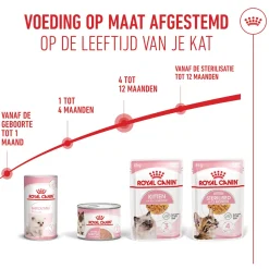 Royal Canin Kitten in Jelly - Kattenvoer