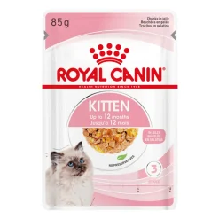 Royal Canin Kitten in Jelly - Kattenvoer