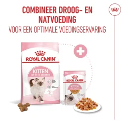 Royal Canin Kitten in Jelly - Kattenvoer