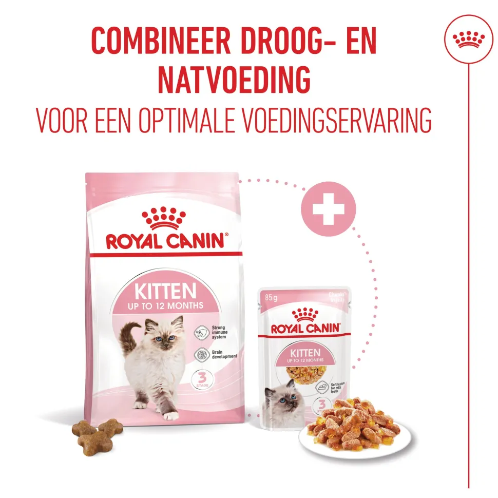 Royal Canin Kitten in Jelly - Kattenvoer