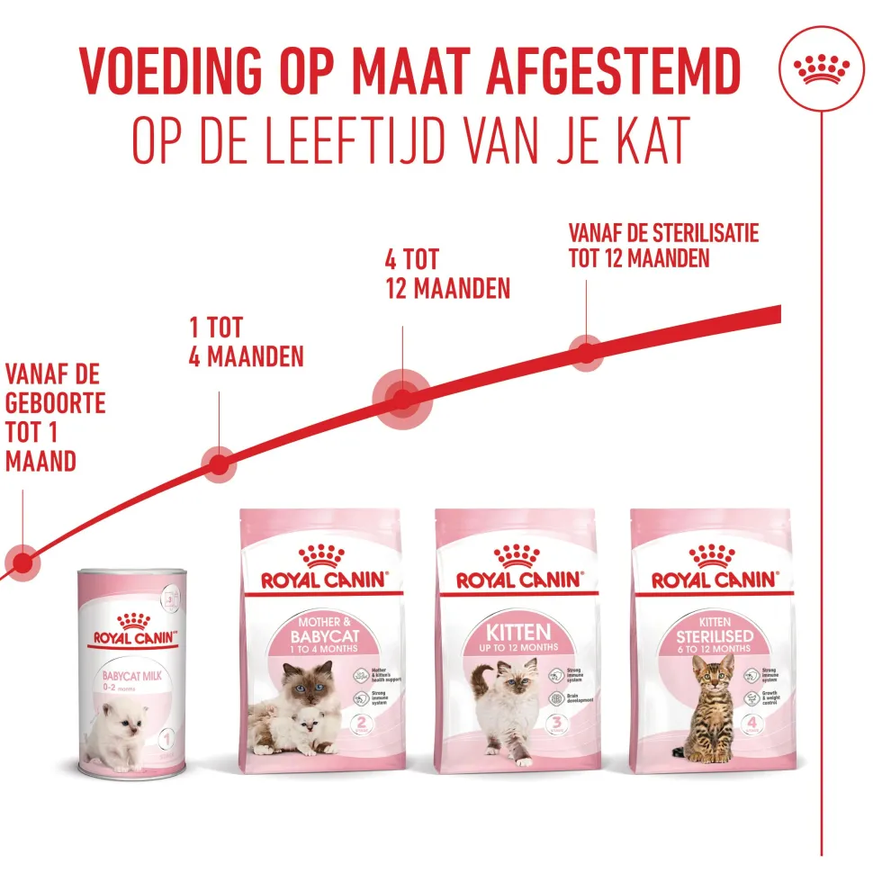 Royal Canin Kitten - Kattenvoer