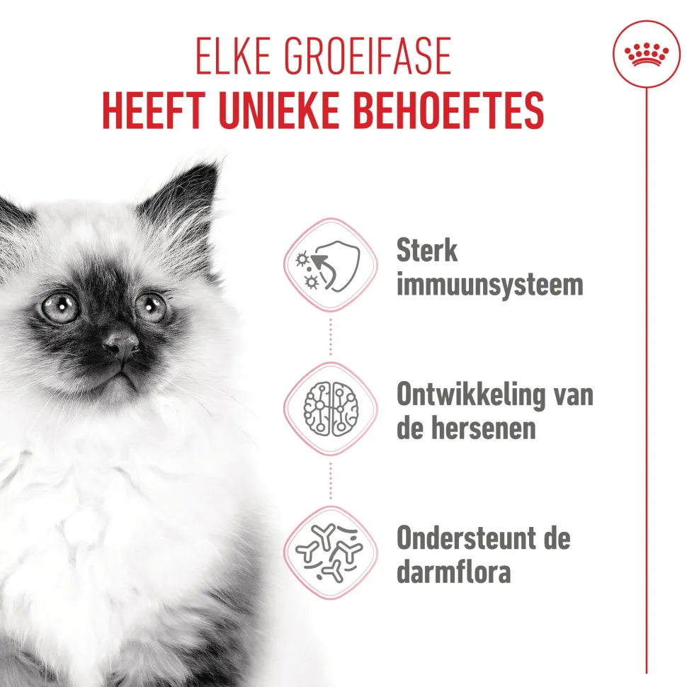Royal Canin Kitten - Kattenvoer