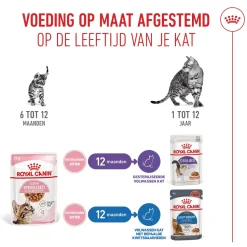 Royal Canin Kitten Sterilised in Gravy - Maaltijdzakje