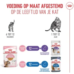 Royal Canin Kitten Sterilised in Jelly - Maaltijdzakje