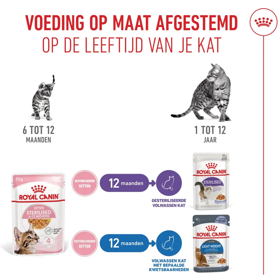 Royal Canin Kitten Sterilised in Jelly - Maaltijdzakje