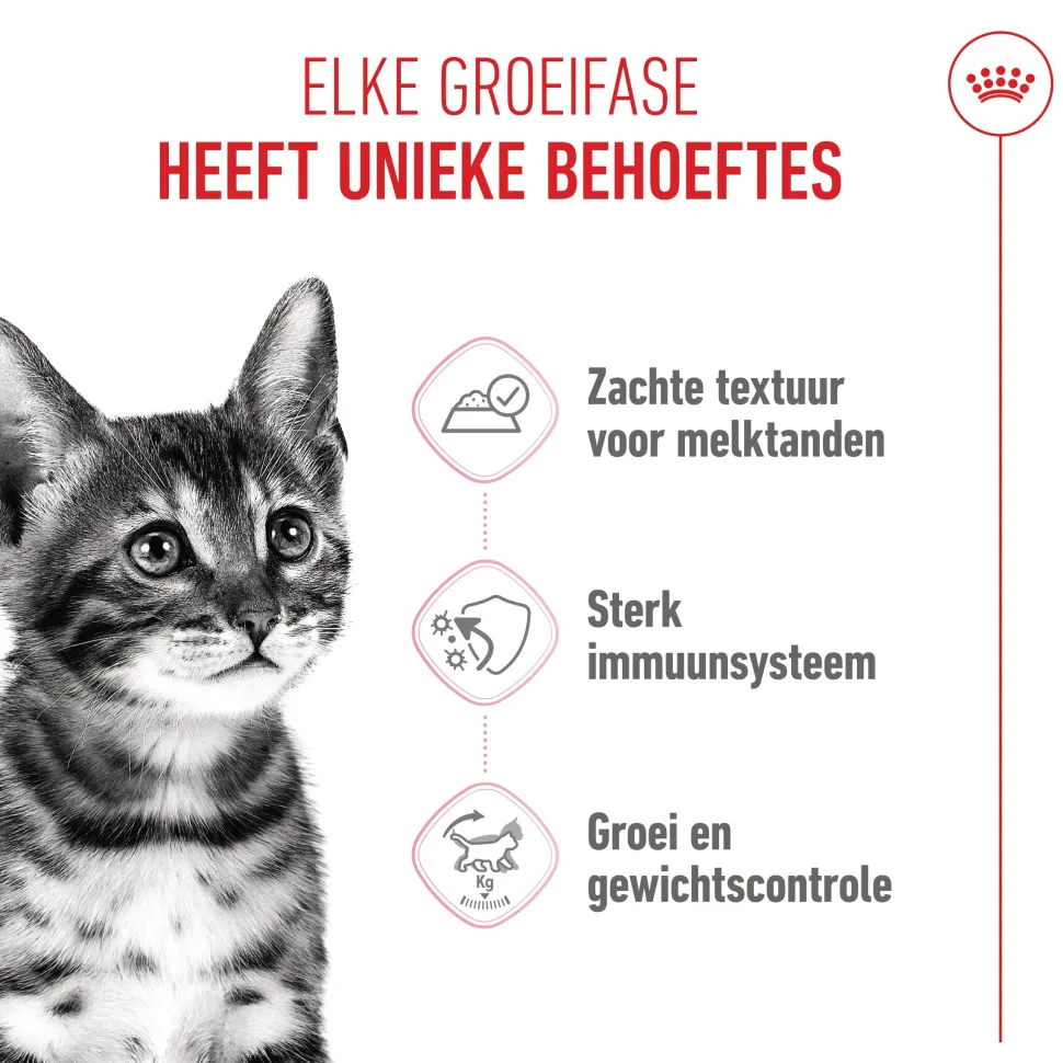 Royal Canin Kitten Sterilised in Jelly - Maaltijdzakje