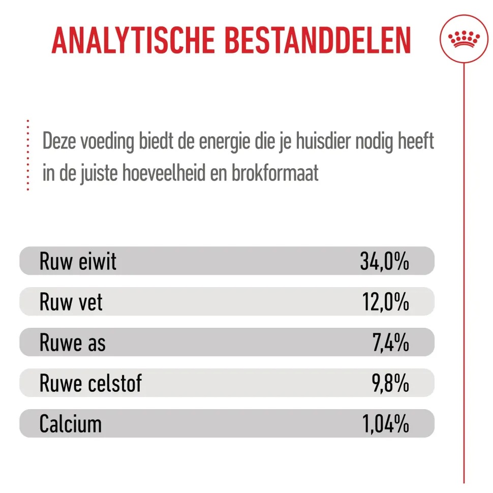 Royal Canin Kitten Sterilised - Kattenvoer