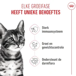Royal Canin Kitten Sterilised - Kattenvoer