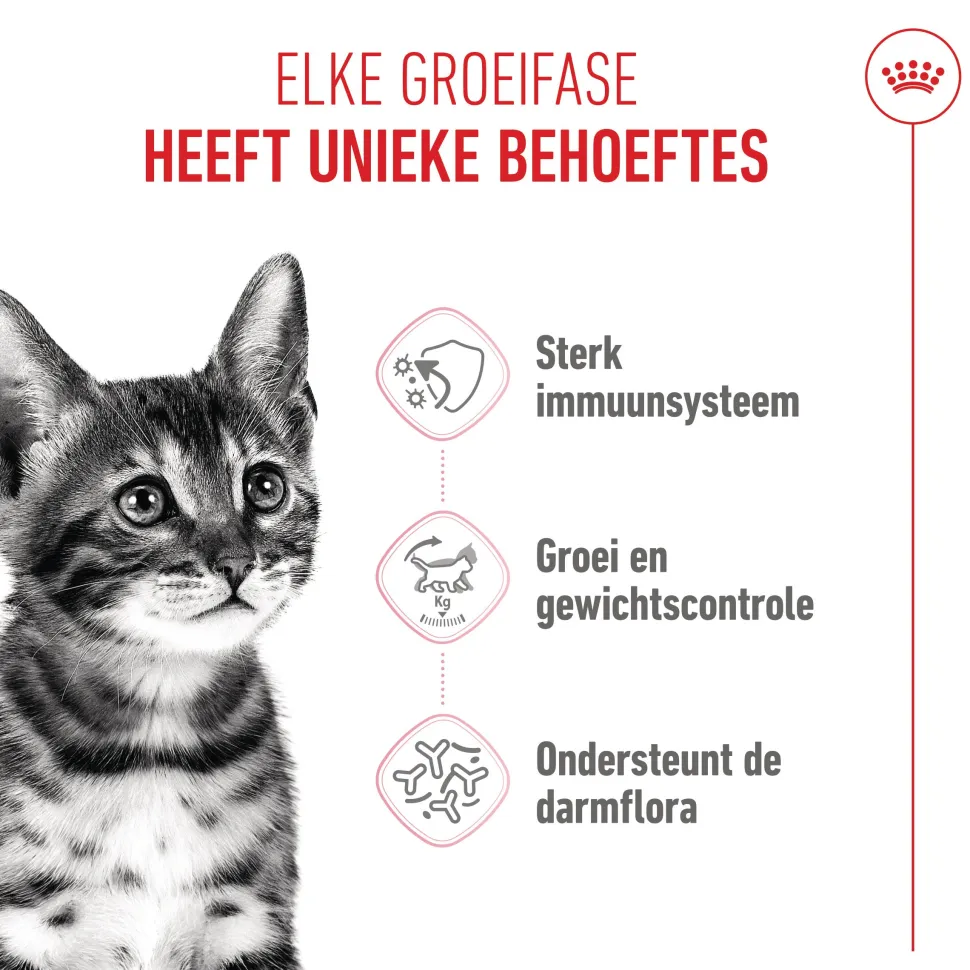 Royal Canin Kitten Sterilised - Kattenvoer