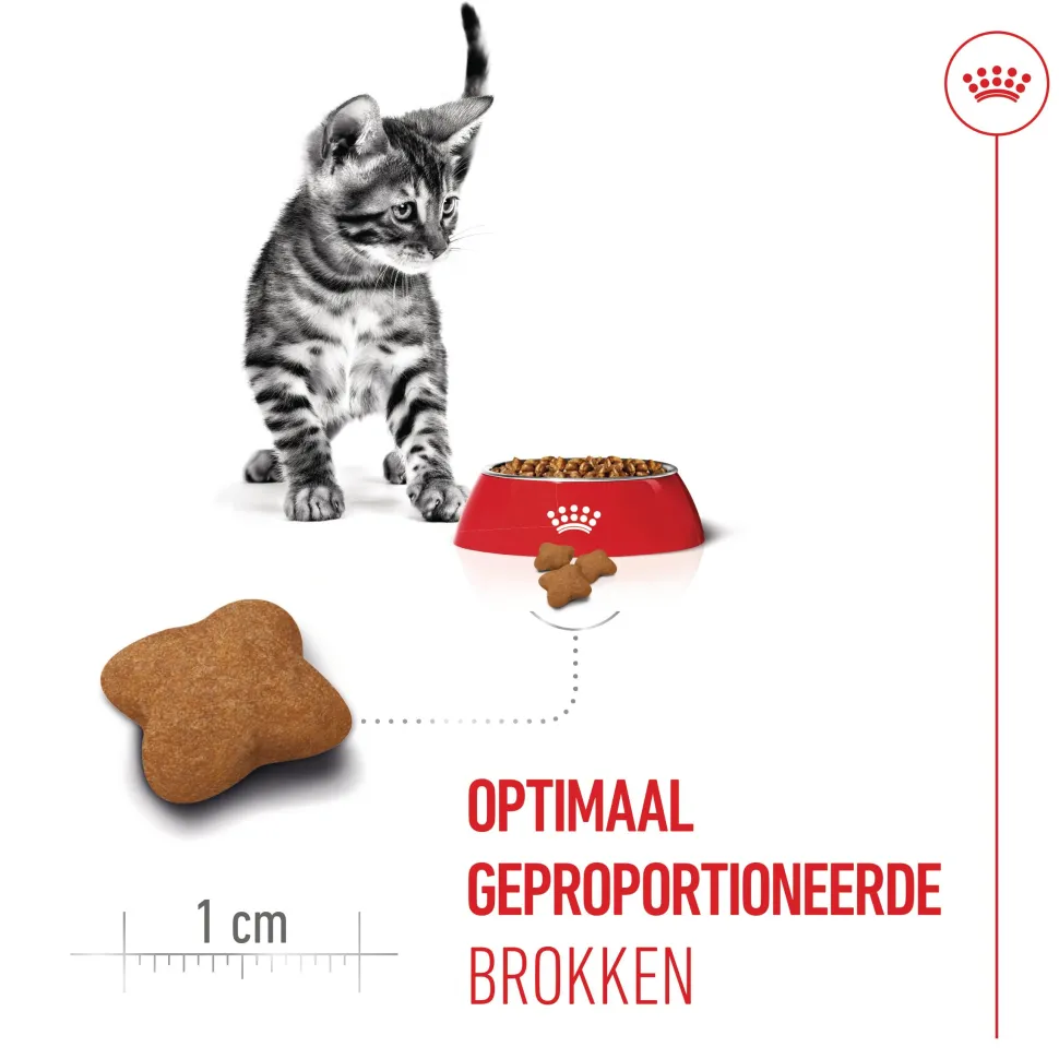 Royal Canin Kitten Sterilised - Kattenvoer