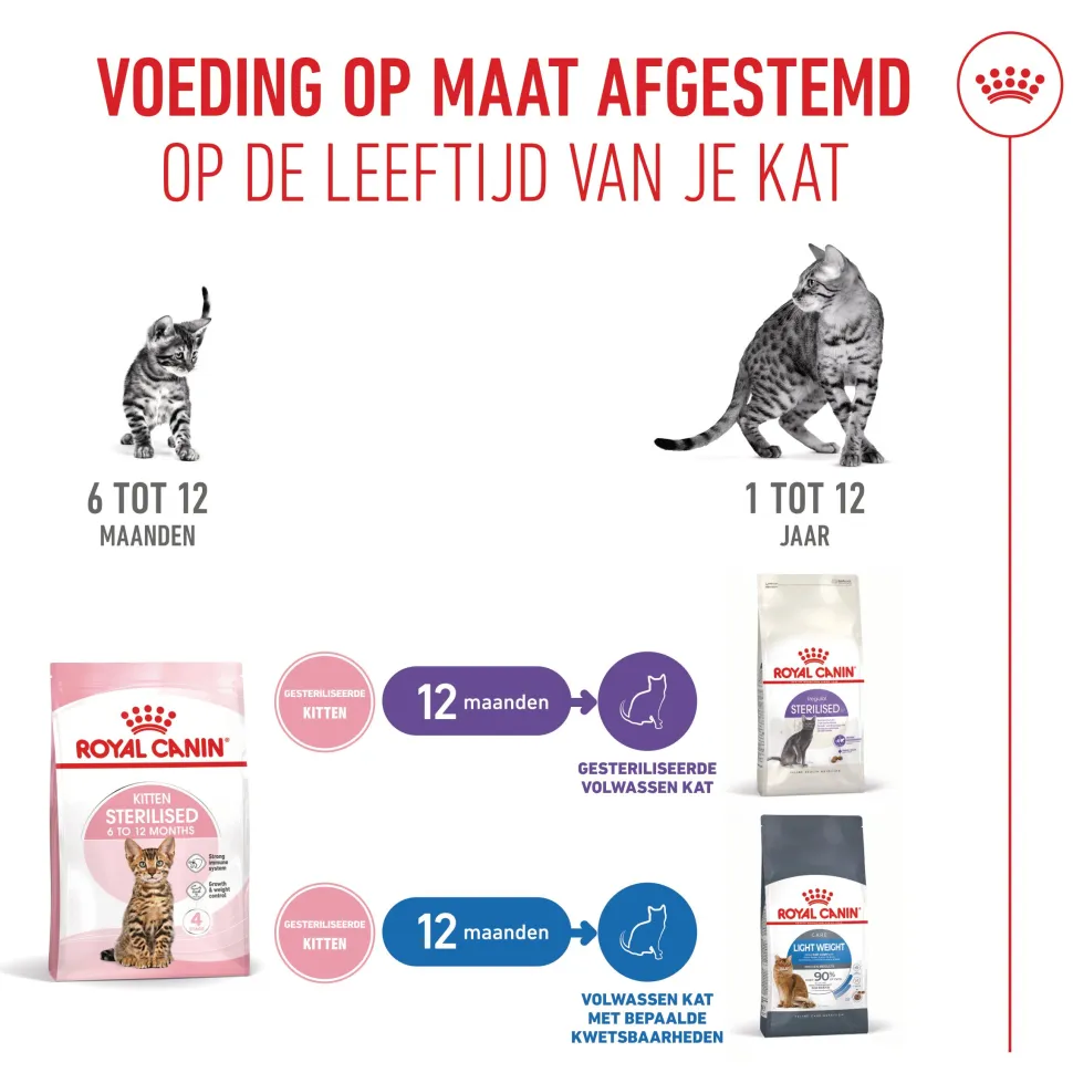 Royal Canin Kitten Sterilised - Kattenvoer