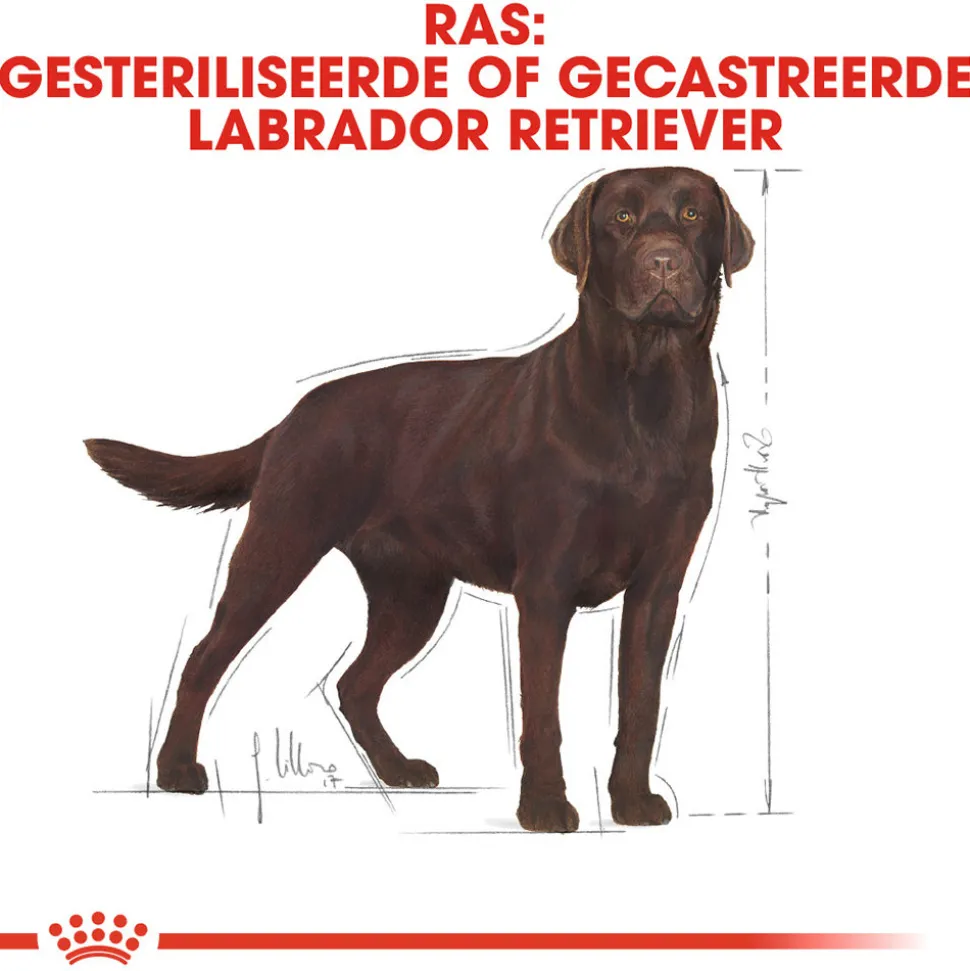 Royal Canin Labrador Retriever Sterilised Adult - Hondenvoer