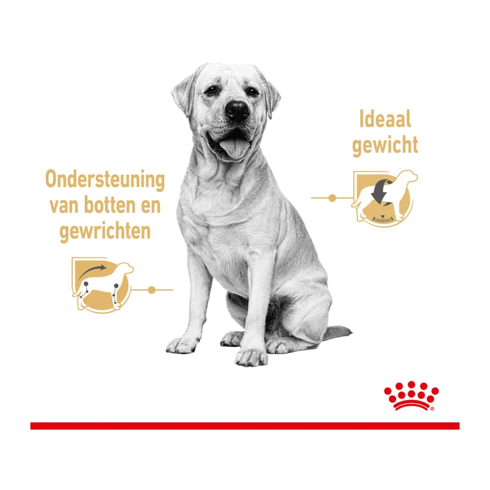 Royal Canin Labrador Retriever Adult Wet