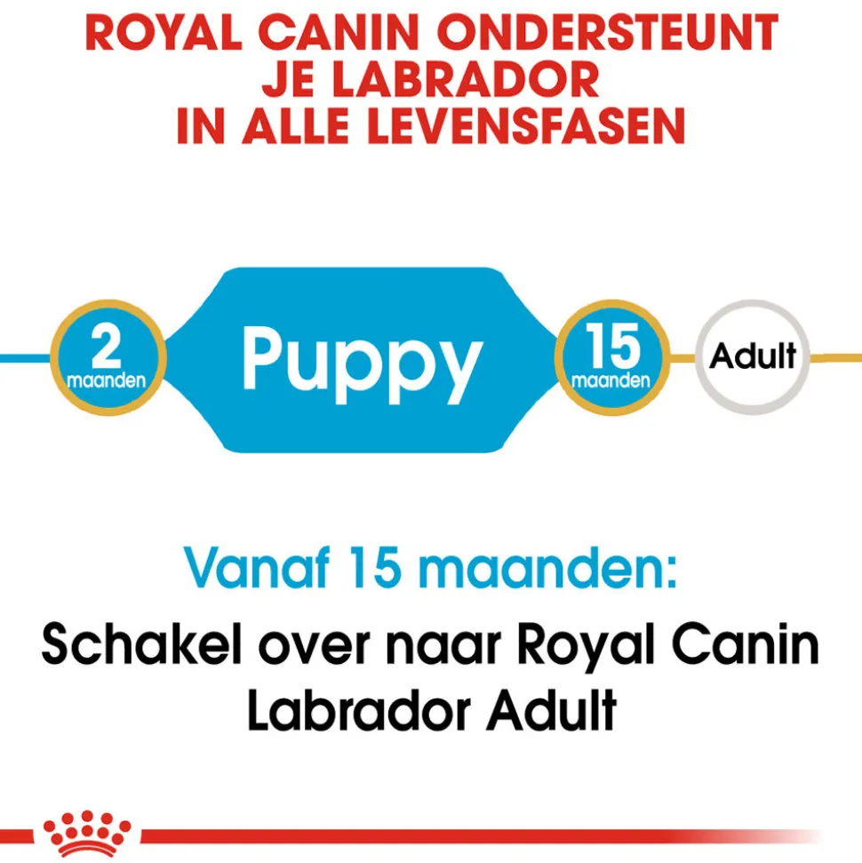 Royal Canin Labrador Retriever Puppy - Hondenvoer