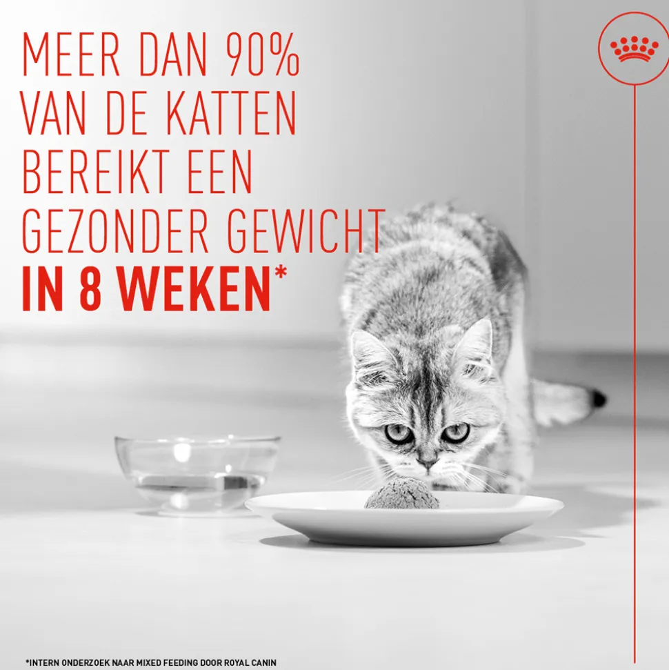 Royal Canin Light Weight Care AirLift Mousse - Kattenvoer