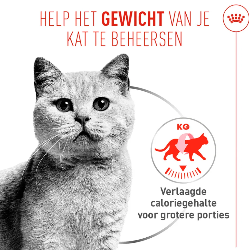 Royal Canin Light Weight Care AirLift Mousse - Kattenvoer