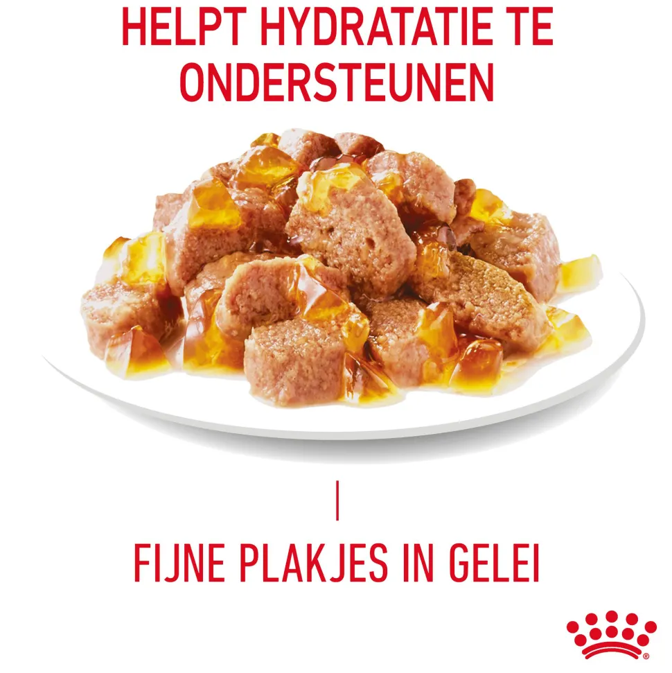 Royal Canin Light Weight Care in Jelly - Kattenvoer