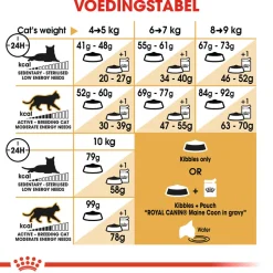 Royal Canin Maine Coon Adult - Kattenvoer