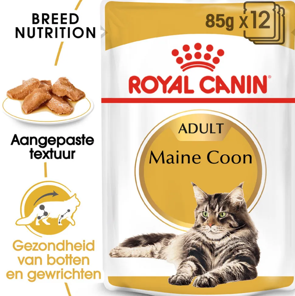 Royal Canin Maine Coon Adult Wet - Kattenvoer