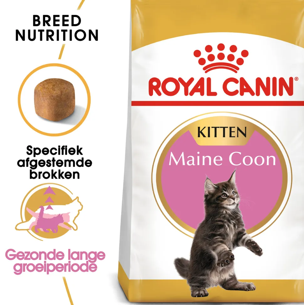 Royal Canin Maine Coon Kitten - Kattenvoer