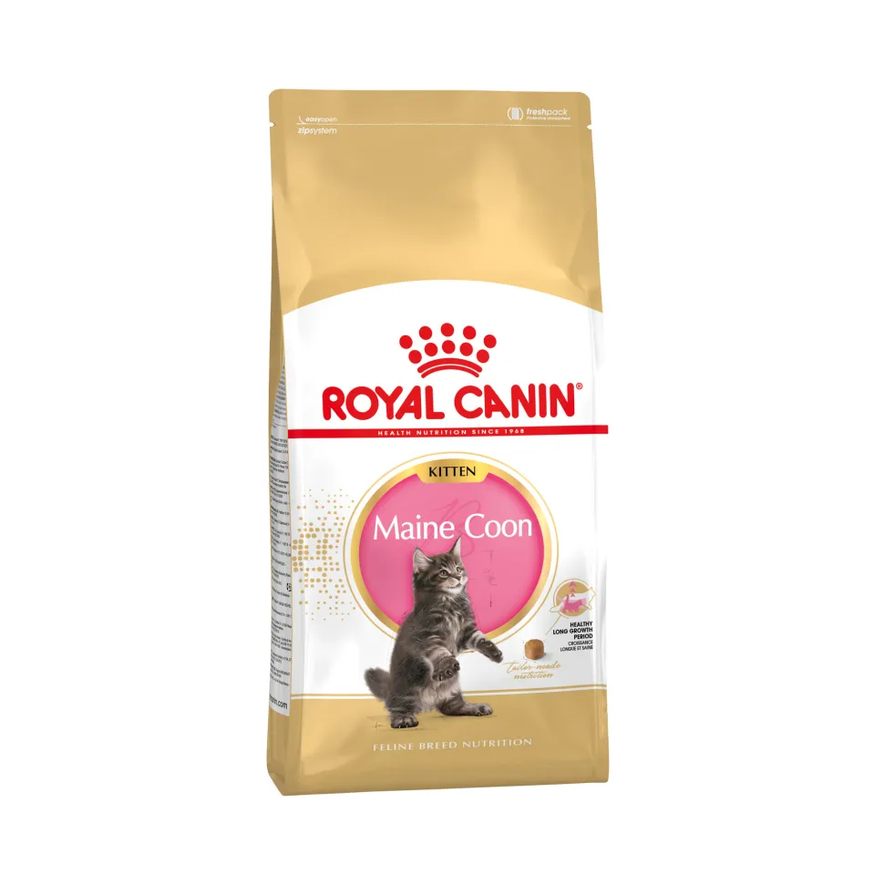 Royal Canin Maine Coon Kitten - Kattenvoer
