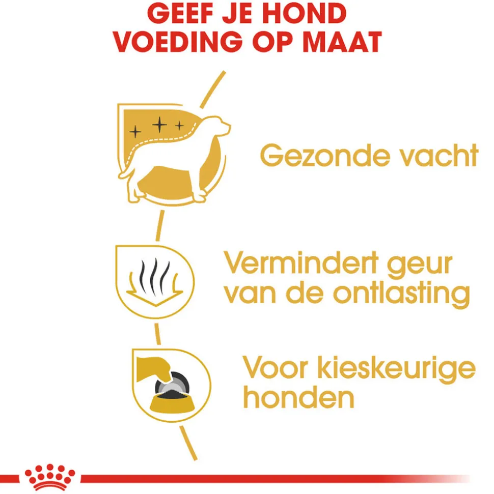 Royal Canin Maltese Adult - Hondenvoer
