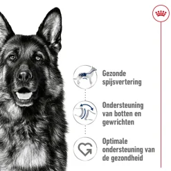 Royal Canin Maxi Adult - Hondenvoer