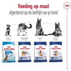 Royal Canin Maxi Adult 5+ - Hondenvoer