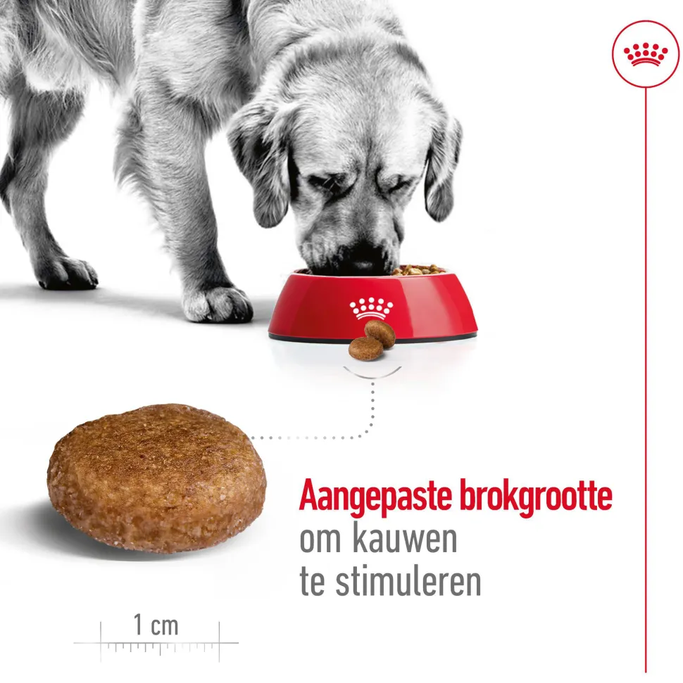 Royal Canin Maxi Adult 5+ - Hondenvoer