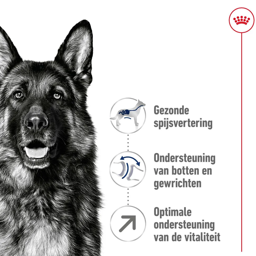 Royal Canin Maxi Adult 5+ - Hondenvoer