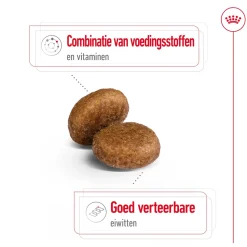 Royal Canin Maxi Adult 5+ - Hondenvoer