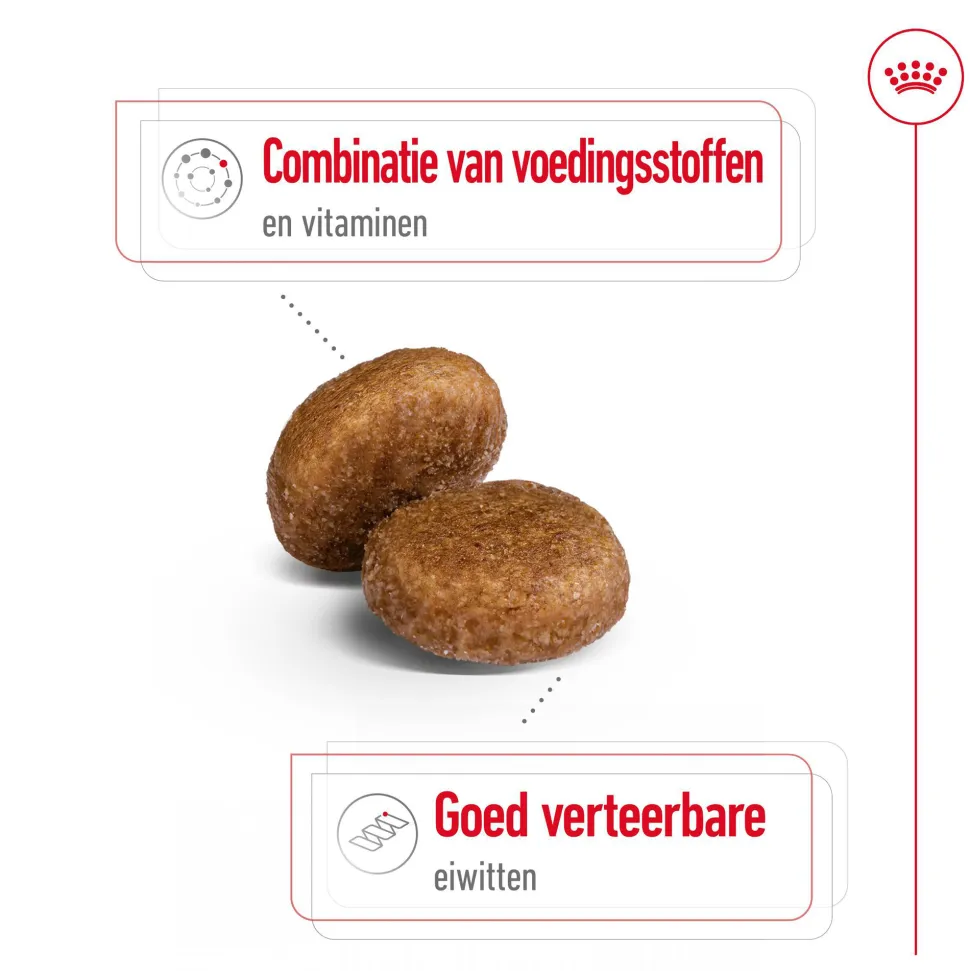 Royal Canin Maxi Adult 5+ - Hondenvoer