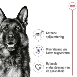 Royal Canin Maxi Adult Wet - Hondenvoer