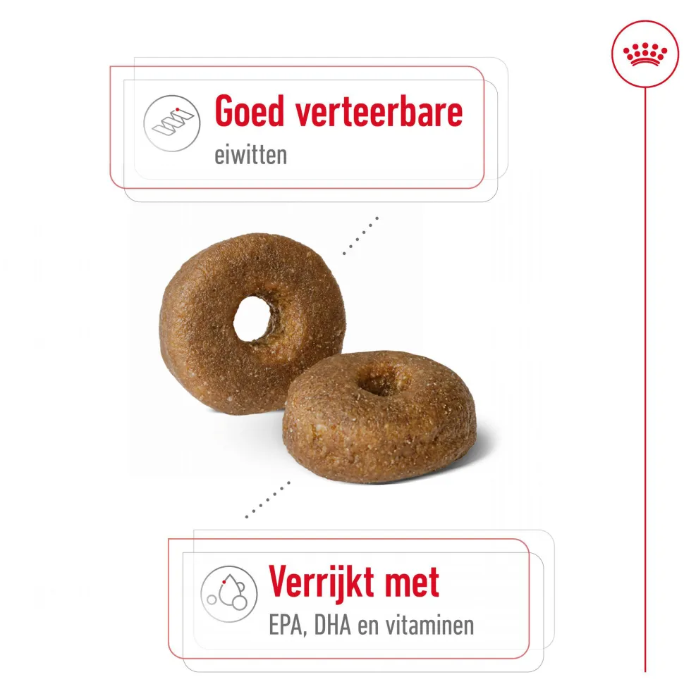 Royal Canin Maxi Ageing 8+ - Hondenvoer